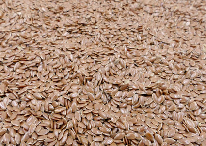 03 linseed v4